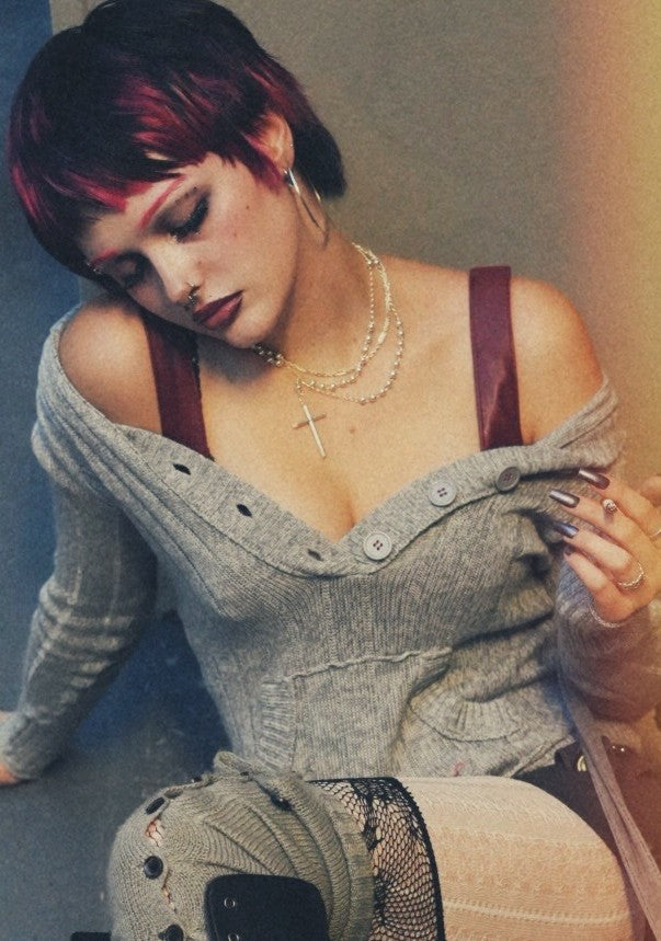 growing rosebush tips healthy rose plant