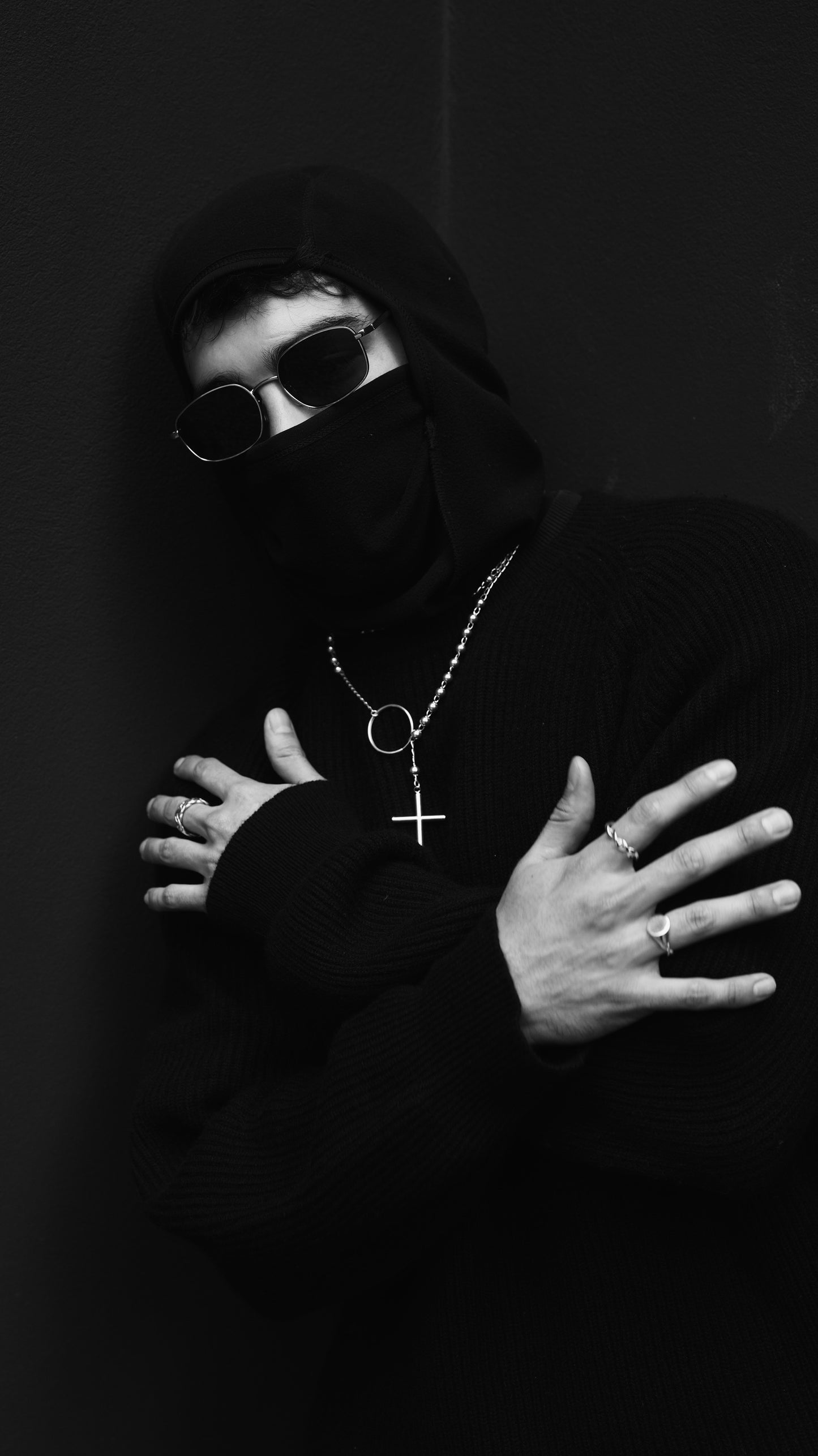 growing rosebush tips healthy rose plant