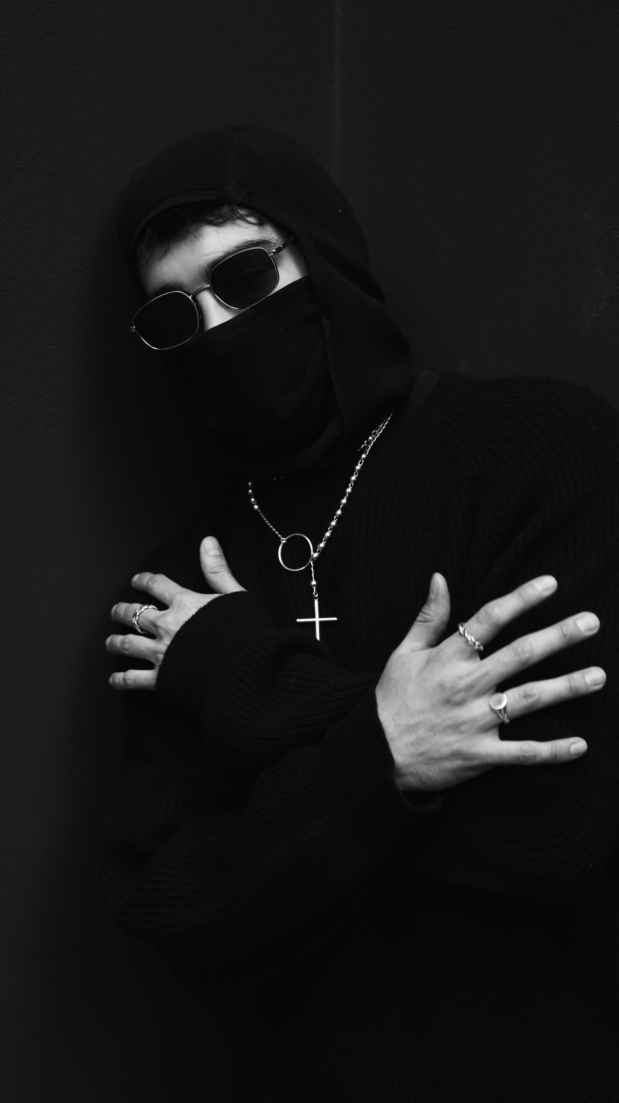 growing rosebush tips healthy rose plant