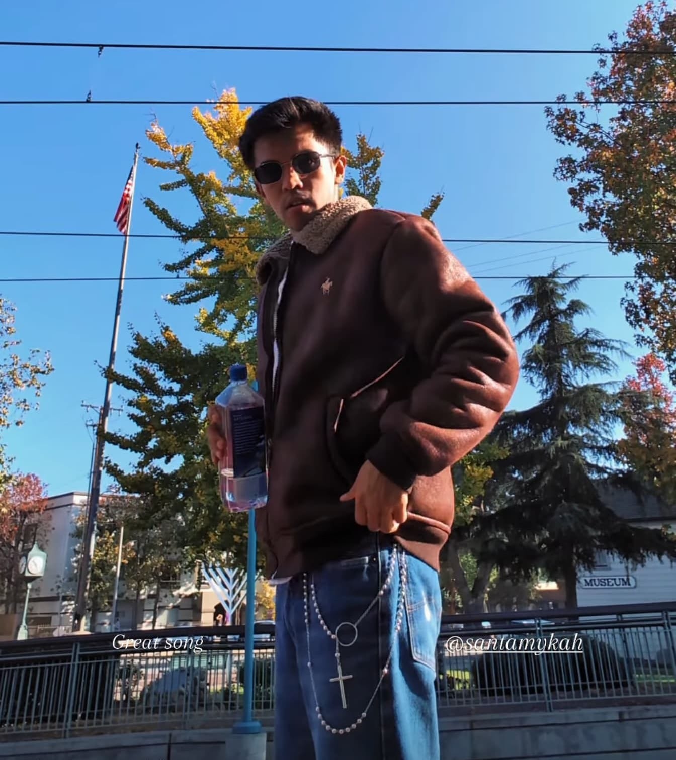 growing rosebush tips healthy rose plant